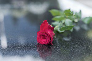 rose on grave stone