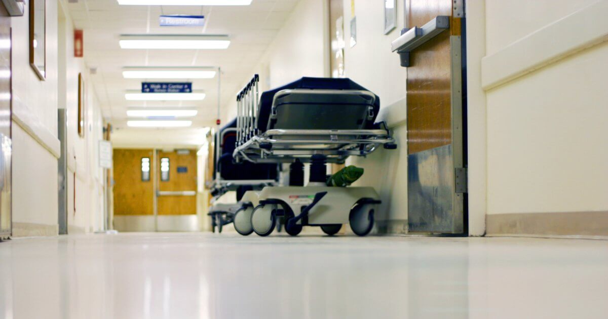 empty hallway in hospital with empty bed