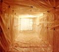 Asbestos removal chamber