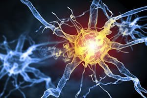 Information on Nerve Damage