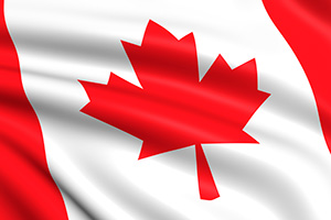 windsor flag project