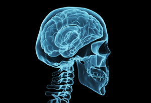 medical xray of a human skull and brain